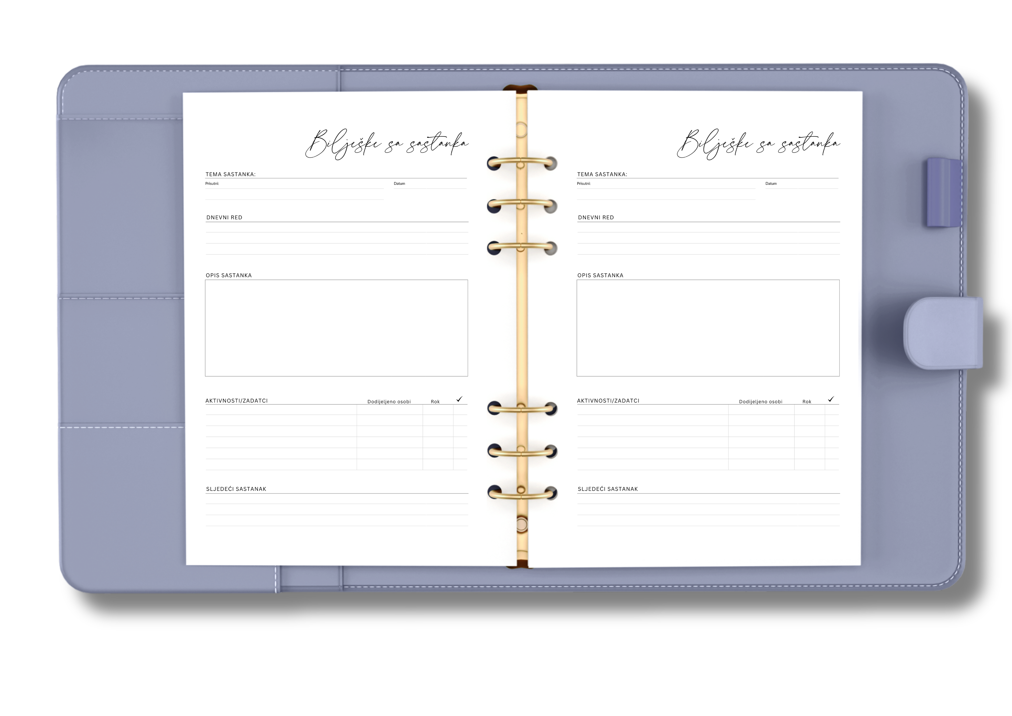 Corporate Businesswoman Set